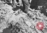 Image of Exhumation of Czech patriots Czechoslovakia, 1946, second 3 stock footage video 65675037200