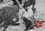 Image of Exhumation of Czech patriots Czechoslovakia, 1946, second 6 stock footage video 65675037200
