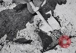 Image of Exhumation of Czech patriots Czechoslovakia, 1946, second 7 stock footage video 65675037200
