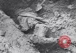 Image of Exhumation of Czech patriots Czechoslovakia, 1946, second 9 stock footage video 65675037200