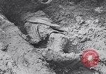 Image of Exhumation of Czech patriots Czechoslovakia, 1946, second 10 stock footage video 65675037200