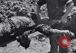 Image of Exhumation of Czech patriots Czechoslovakia, 1946, second 18 stock footage video 65675037200