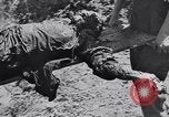 Image of Exhumation of Czech patriots Czechoslovakia, 1946, second 19 stock footage video 65675037200