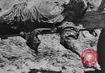 Image of Exhumation of Czech patriots Czechoslovakia, 1946, second 20 stock footage video 65675037200