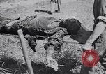 Image of Exhumation of Czech patriots Czechoslovakia, 1946, second 22 stock footage video 65675037200