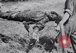 Image of Exhumation of Czech patriots Czechoslovakia, 1946, second 23 stock footage video 65675037200