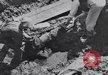 Image of Exhumation of Czech patriots Czechoslovakia, 1946, second 25 stock footage video 65675037200