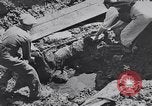 Image of Exhumation of Czech patriots Czechoslovakia, 1946, second 26 stock footage video 65675037200