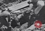 Image of Exhumation of Czech patriots Czechoslovakia, 1946, second 27 stock footage video 65675037200