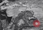 Image of Exhumation of Czech patriots Czechoslovakia, 1946, second 31 stock footage video 65675037200