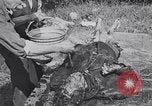 Image of Exhumation of Czech patriots Czechoslovakia, 1946, second 32 stock footage video 65675037200
