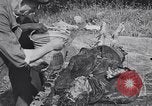 Image of Exhumation of Czech patriots Czechoslovakia, 1946, second 33 stock footage video 65675037200