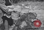 Image of Exhumation of Czech patriots Czechoslovakia, 1946, second 34 stock footage video 65675037200