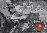 Image of Exhumation of Czech patriots Czechoslovakia, 1946, second 35 stock footage video 65675037200
