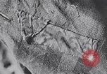 Image of Exhumation of Czech patriots Czechoslovakia, 1946, second 37 stock footage video 65675037200