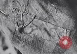 Image of Exhumation of Czech patriots Czechoslovakia, 1946, second 38 stock footage video 65675037200