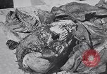 Image of Exhumation of Czech patriots Czechoslovakia, 1946, second 39 stock footage video 65675037200