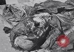 Image of Exhumation of Czech patriots Czechoslovakia, 1946, second 40 stock footage video 65675037200