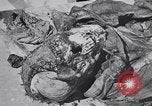 Image of Exhumation of Czech patriots Czechoslovakia, 1946, second 41 stock footage video 65675037200