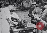 Image of Exhumation of Czech patriots Czechoslovakia, 1946, second 42 stock footage video 65675037200