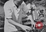 Image of Exhumation of Czech patriots Czechoslovakia, 1946, second 48 stock footage video 65675037200