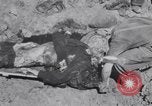 Image of Exhumation of Czech patriots Czechoslovakia, 1946, second 49 stock footage video 65675037200