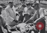 Image of Exhumation of Czech patriots Czechoslovakia, 1946, second 57 stock footage video 65675037200