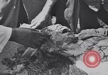Image of Exhumation of Czech patriots Czechoslovakia, 1946, second 58 stock footage video 65675037200