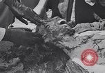 Image of Exhumation of Czech patriots Czechoslovakia, 1946, second 60 stock footage video 65675037200
