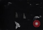 Image of Nazi abuse of Jews Germany, 1939, second 44 stock footage video 65675037201