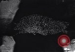 Image of Nazi abuse of Jews Germany, 1939, second 51 stock footage video 65675037201