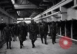 Standbild stabil von Pferden Italien, 1938, aus Sekunde 9 historischem Filmmaterial Videoclip 65675037222