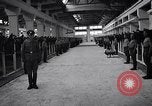 Standbild stabil von Pferden Italien, 1938, aus Sekunde 15 historischem Filmmaterial Videoclip 65675037222