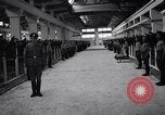 Standbild stabil von Pferden Italien, 1938, aus Sekunde 16 historischem Filmmaterial Videoclip 65675037222