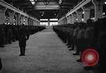 Standbild stabil von Pferden Italien, 1938, aus Sekunde 19 historischem Filmmaterial Videoclip 65675037222