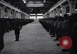 Standbild stabil von Pferden Italien, 1938, aus Sekunde 20 historischem Filmmaterial Videoclip 65675037222