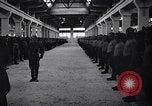 Standbild stabil von Pferden Italien, 1938, aus Sekunde 21 historischem Filmmaterial Videoclip 65675037222