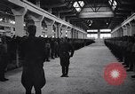 Standbild stabil von Pferden Italien, 1938, aus Sekunde 23 historischem Filmmaterial Videoclip 65675037222