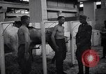 Standbild stabil von Pferden Italien, 1938, aus Sekunde 30 historischem Filmmaterial Videoclip 65675037222