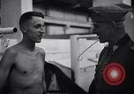 Standbild stabil von Pferden Italien, 1938, aus Sekunde 37 historischem Filmmaterial Videoclip 65675037222