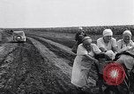 Image des exploitations agricoles Italie, 1938, de la seconde 36 séquences d'archives historiques vidéo 65675037223