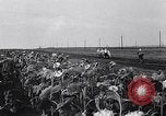 Image des exploitations agricoles Italie, 1938, de la seconde 40 séquences d'archives historiques vidéo 65675037223