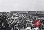 Image des exploitations agricoles Italie, 1938, de la seconde 41 séquences d'archives historiques vidéo 65675037223