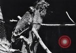 Standbild Vogelschutzgebiet Deutschland, 1938, aus Sekunde 17 historischem Filmmaterial Videoclip 65675037226