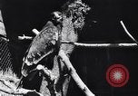 Standbild Vogelschutzgebiet Deutschland, 1938, aus Sekunde 18 historischem Filmmaterial Videoclip 65675037226