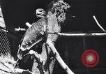Standbild Vogelschutzgebiet Deutschland, 1938, aus Sekunde 21 historischem Filmmaterial Videoclip 65675037226