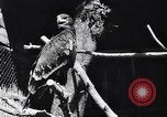 Standbild Vogelschutzgebiet Deutschland, 1938, aus Sekunde 22 historischem Filmmaterial Videoclip 65675037226