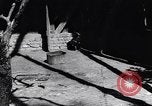 Standbild Vogelschutzgebiet Deutschland, 1938, aus Sekunde 28 historischem Filmmaterial Videoclip 65675037226