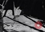 Standbild Vogelschutzgebiet Deutschland, 1938, aus Sekunde 29 historischem Filmmaterial Videoclip 65675037226