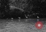 Standbild Vogelschutzgebiet Deutschland, 1938, aus Sekunde 42 historischem Filmmaterial Videoclip 65675037226